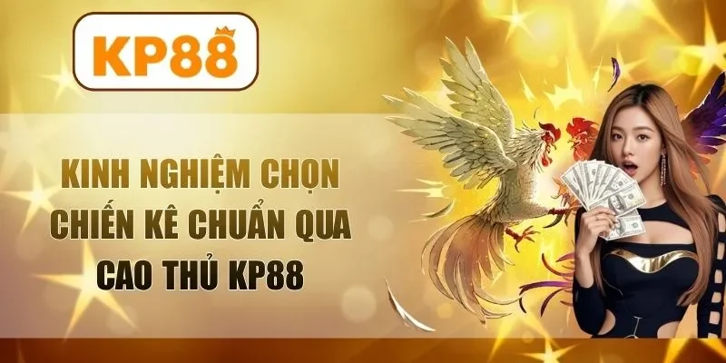 kinh nghiệm chọn chiến kê