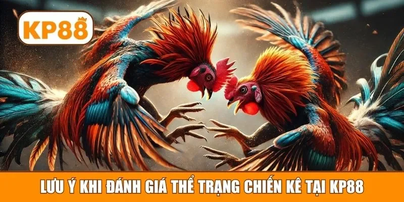 Lưu ý khi đánh giá thể trạng chiến kê tại KP88