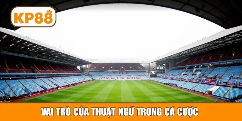 Vai trò của thuật ngữ trong cá cược